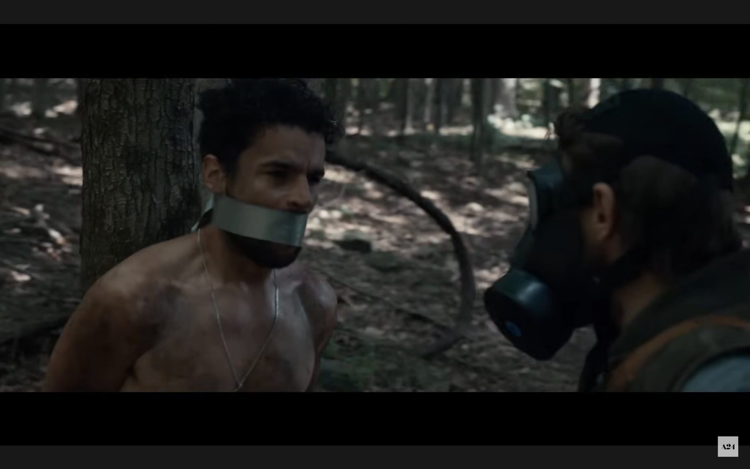 11 Excellent A24 Movies You May Not Know